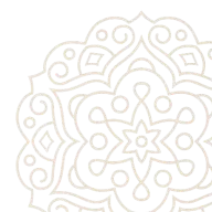illustration-1.png